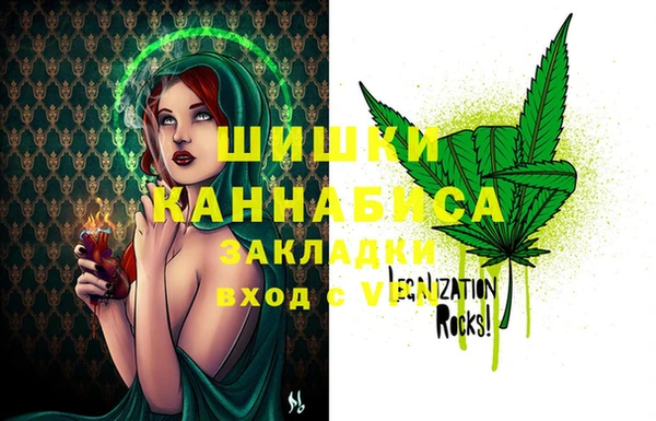 молекула духа Вязьма