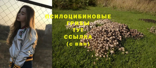 PSILOCYBIN Вяземский