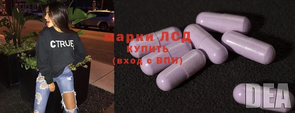 PSILOCYBIN Вяземский