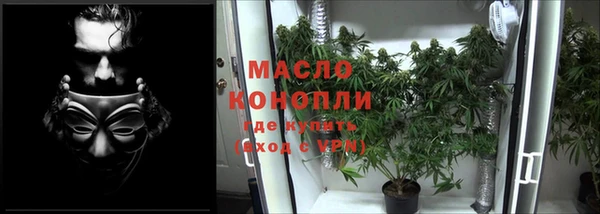 молекула духа Вязьма