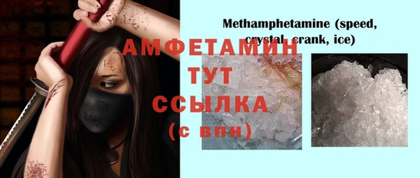 PSILOCYBIN Вяземский
