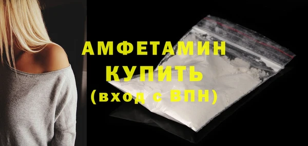 молекула духа Вязьма