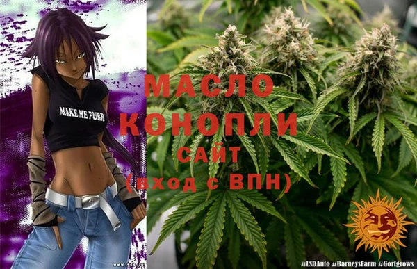 молекула духа Вязьма