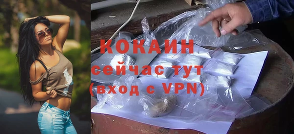 PSILOCYBIN Вяземский